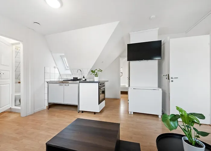 Center With Teracce Apartment Bergen