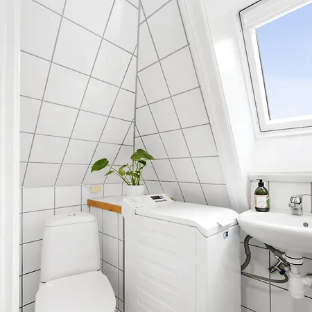 Apartment Center With Teracce Bergen