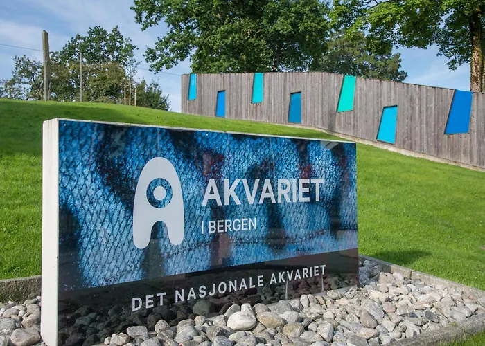 Apartament Center With Teracce Bergen